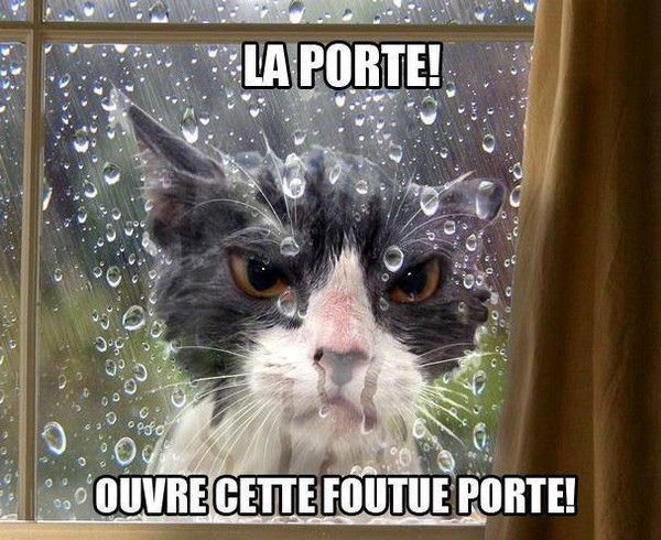 CHAPLEUT